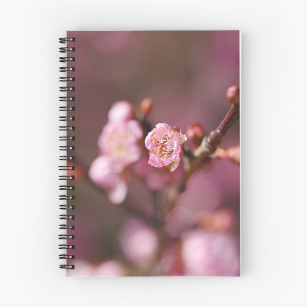 Item preview, Blossom Prunus Pinks designed and sold by Joy Watson - Natural Light Photography .