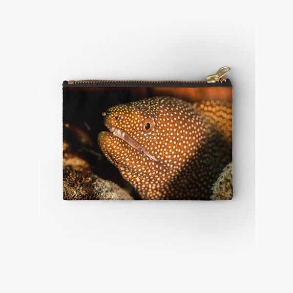 Item preview, Spotted Eel designed and sold by Adam Walters.