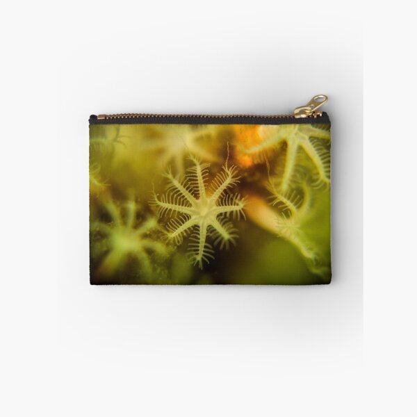 Item preview, South Australian Soft Coral designed and sold by Adam Walters.