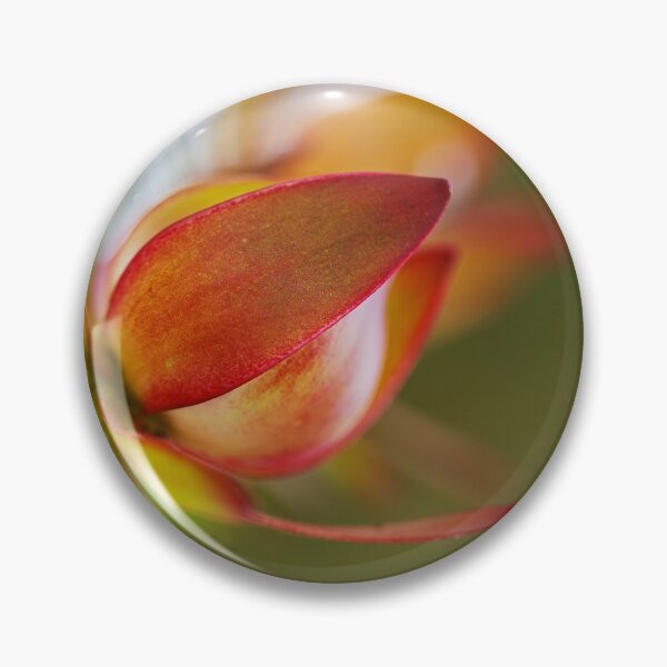 Item preview, Red With Golden Bloom designed and sold by Joy Watson - Natural Light Photography .