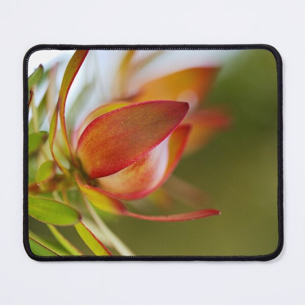 Item preview, Red With Golden Bloom designed and sold by Joy Watson - Natural Light Photography .