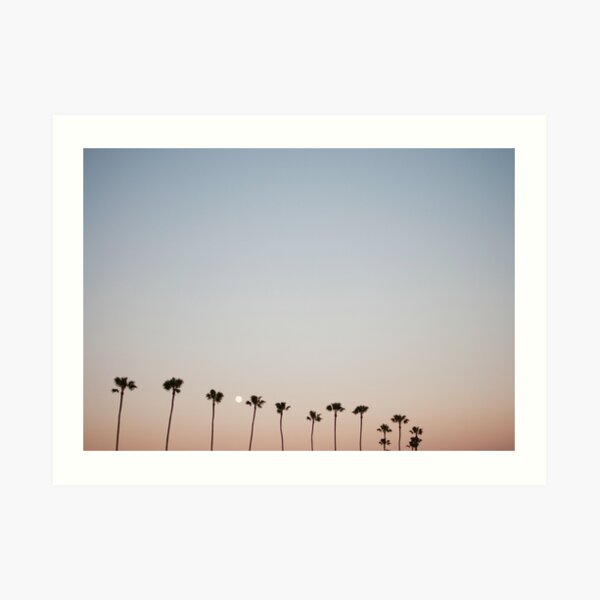 Sunset Palm Trees Art Print