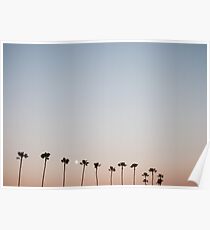 Sonnenuntergang Palmen Poster
