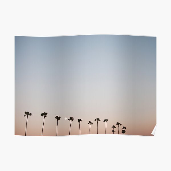 Sunset Palm Trees Poster