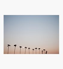 Sunset Palm Trees Photographic Print