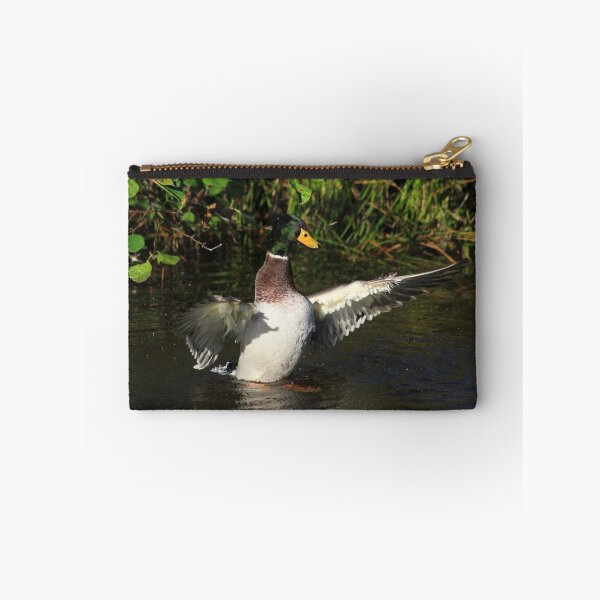 Item preview, Male mallard on Llangollen Canal designed and sold by turniptowers.