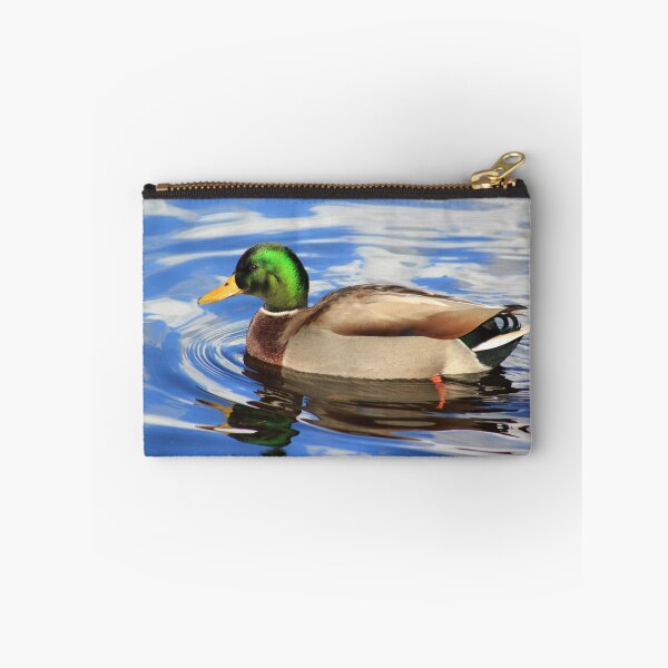 Item preview, Male mallard on Llangollen Canal designed and sold by turniptowers.