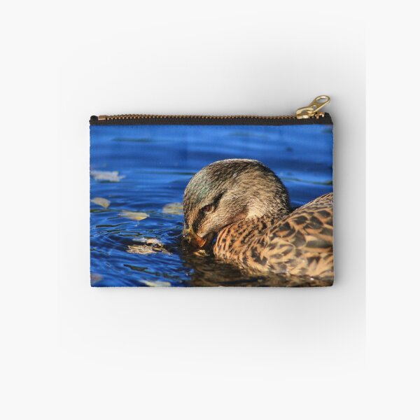 Item preview, Female mallard on Llangollen Canal designed and sold by turniptowers.