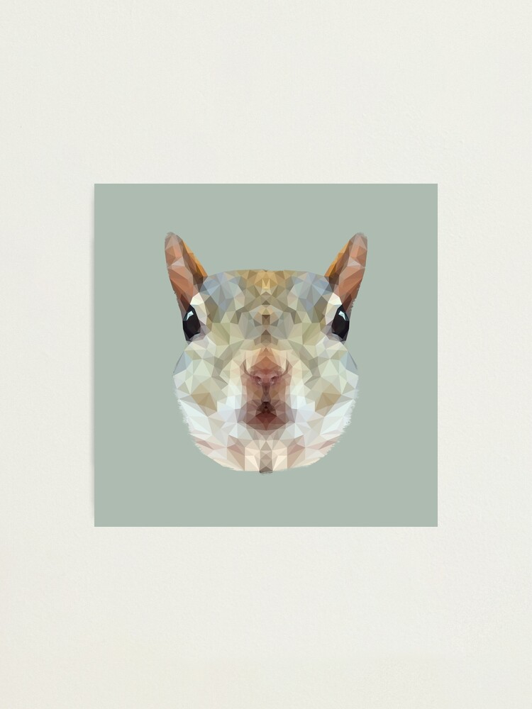 Alternate view of The Squirrel Photographic Print