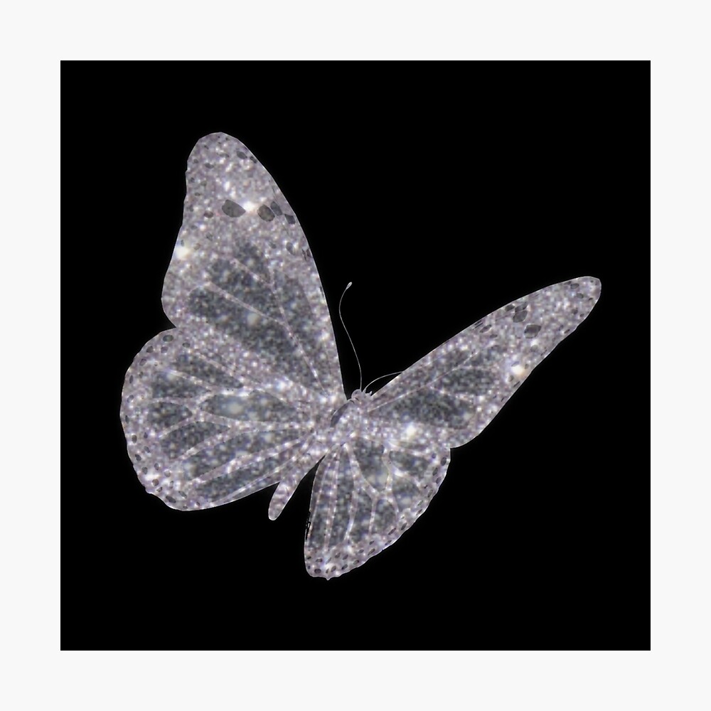 Aesthetic Butterfly 
