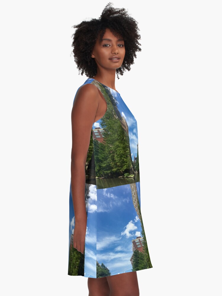 Alternate view of River walk A-Line Dress