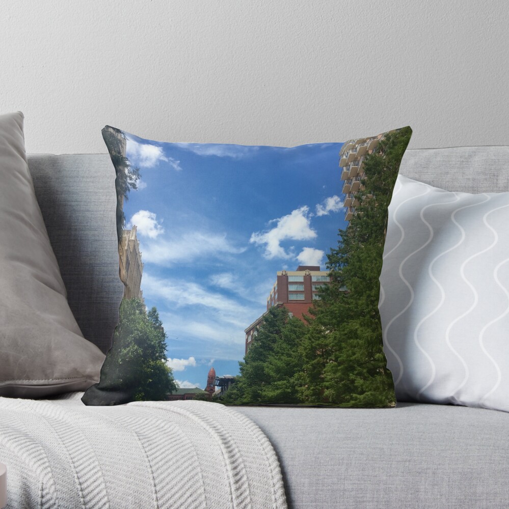 River walk Throw Pillow