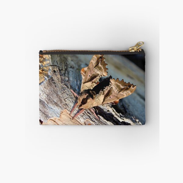 Item preview, The Moth Series I designed and sold by Kathleen Daley.