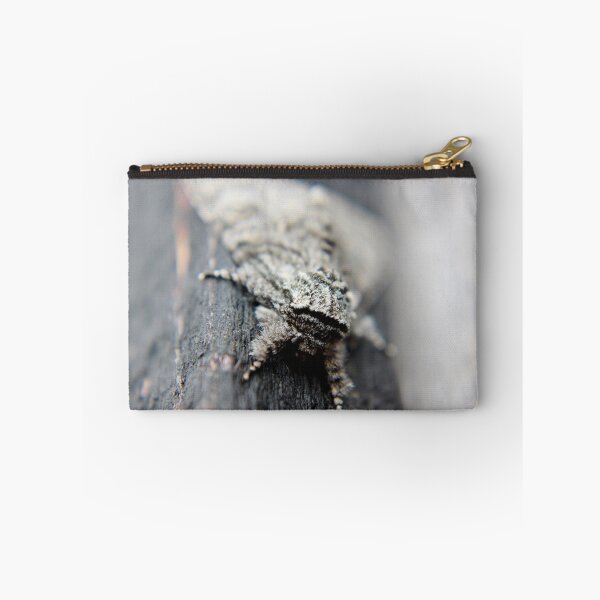Item preview, The Moth Series IV designed and sold by Kathleen Daley.