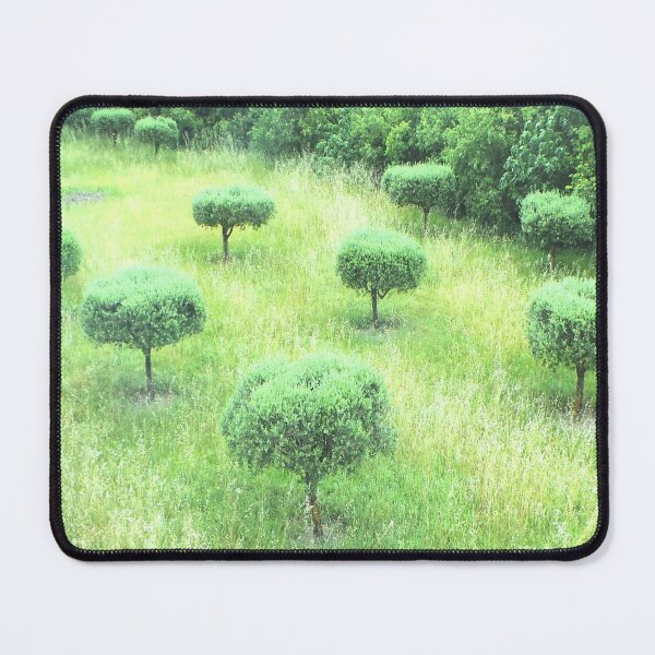 Item preview, Olive Trees designed and sold by GasconyPassion.