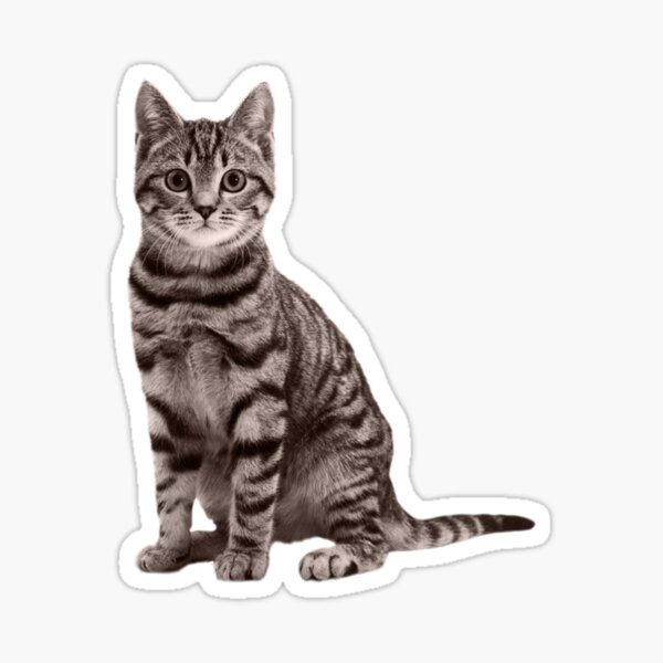 Kitty Cat Melody Stickers for Sale