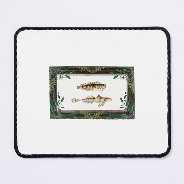 Item preview, Zoological board The sordid dragoned and the striped stone-piercer - Zoological conceptions and zoological boards designed and sold by AdvanceDesign.
