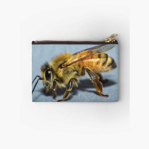 Item preview, Bee Macro designed and sold by RandyHume.