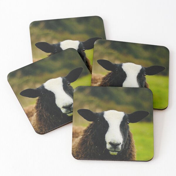 Item preview, Sunny the Zwartbles Lamb designed and sold by thegreendogs.