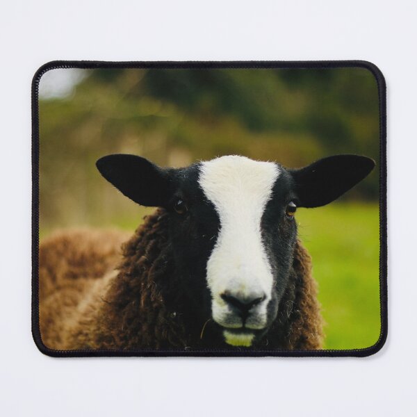 Item preview, Sunny the Zwartbles Lamb designed and sold by thegreendogs.