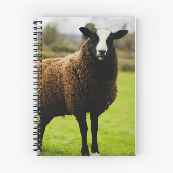 Item preview, Sunny the Zwartbles Lamb designed and sold by thegreendogs.