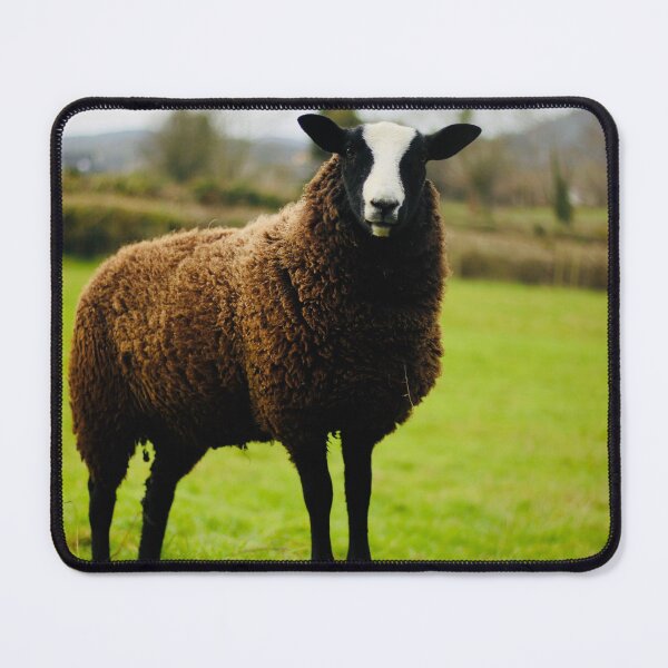 Item preview, Sunny the Zwartbles Lamb designed and sold by thegreendogs.
