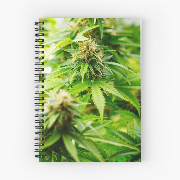 Item preview, Weed indica sativa cannabis design floral hemp marijuana designed and sold by TorriPhoto.