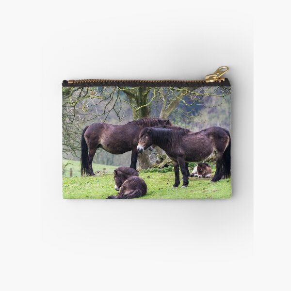 Item preview, Exmoor Ponies. designed and sold by Dave Staton.