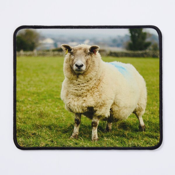 Item preview, Old Ewe designed and sold by thegreendogs.