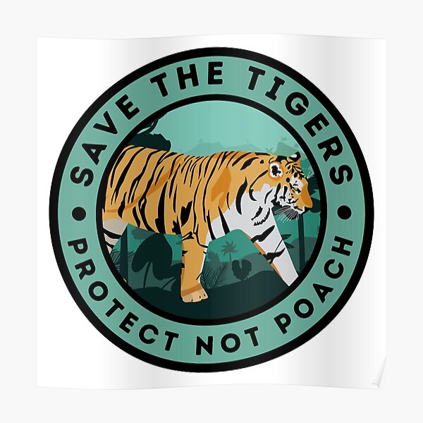 Save The Tigers Protect Not Poach Poster By Babuinosargas Redbubble