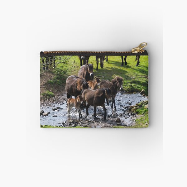 Item preview, Stream Crossing. designed and sold by Dave Staton.