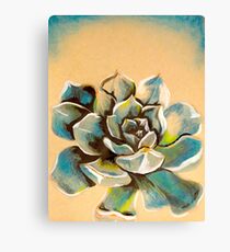Succulent Canvas Print
