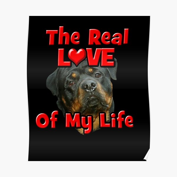 Valentine's Day Gift For Rottweiler Dog Lovers & Owners Long Sleeve 