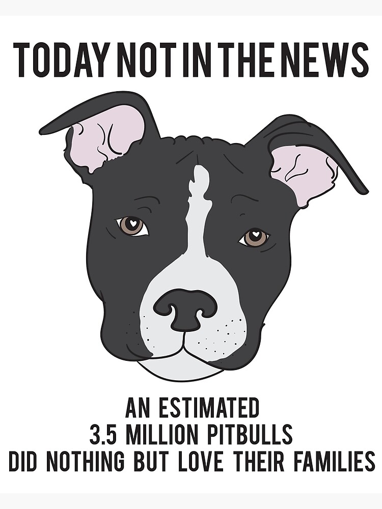 Today Not In The News An Estimated 3.5 Million Pit Bulls Did Nothing But  Love Their Families Photographic Print for Sale by lunanova