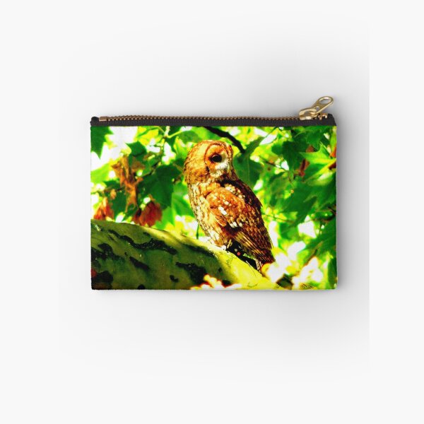 Item preview, Tawny Owl in a London Plane designed and sold by Barnbk02.