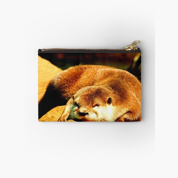 Item preview, Flat Sleeping Otter designed and sold by Barnbk02.