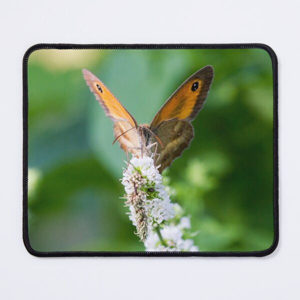 Item preview, Butterfly gathering mint flowers with a small beetle designed and sold by BVNaturePhotos.
