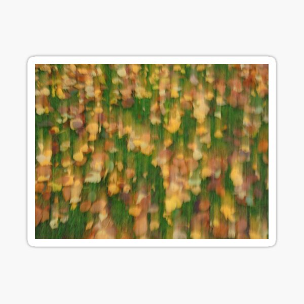 Fall Sticker