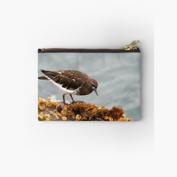Item preview, Black Turnstone designed and sold by adjohnson.