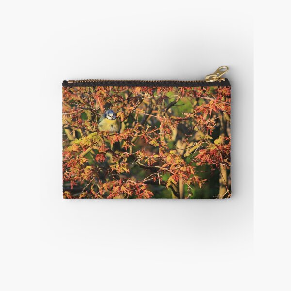 Item preview, Young blue tit on acer palmatum  designed and sold by turniptowers.