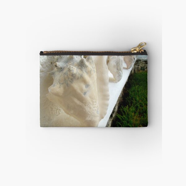 Item preview, Conch Shell designed and sold by malipsey.