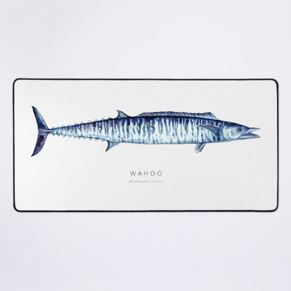 Wahoo Magnet Green/Yellow - Size 12