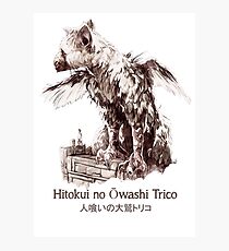 Trico Photographic Print