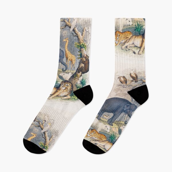 Item preview, A history of the earth and animated nature  designed and sold by Nikiolilalala.