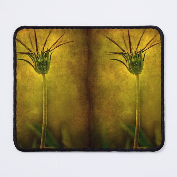 Item preview, Herbarium 02 designed and sold by Barbara Corvino.