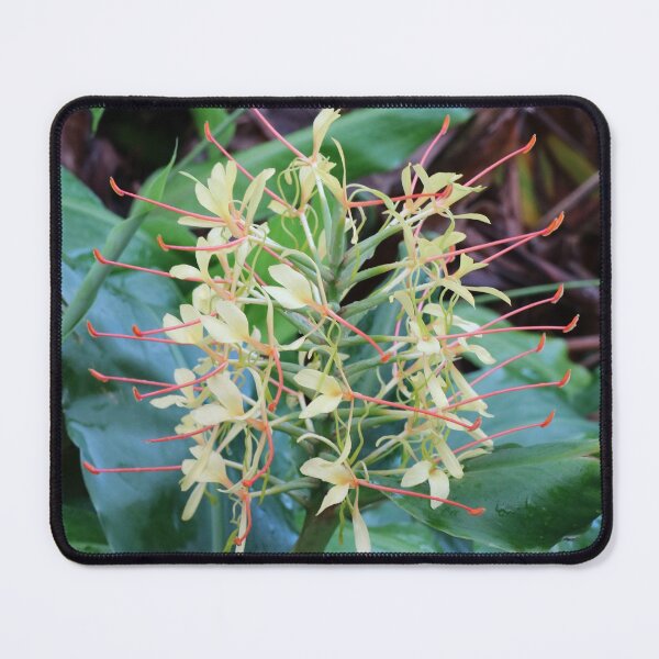 Item preview, Europe, Portugal, Azores, Island, Faial, Blossom, Yellow, Red, Photography, BebiCervin designed and sold by BebiCervin.