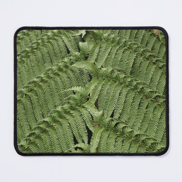 Item preview, Nature, Europe, Portugal, Azores, Island, São Miguel, Botanical Garden, Terra Nostra, Fern, Photography, BebiCervin designed and sold by BebiCervin.