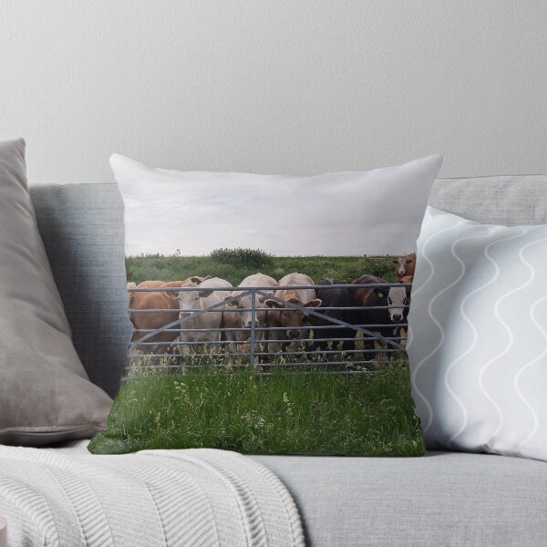 Item preview, Cows at the Gate designed and sold by FastRapidash.