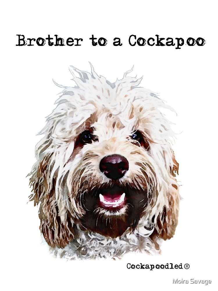 Cockapoo sales with kids