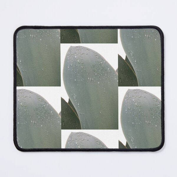 Item preview, Plant, Raindrop, Nature, Photography, BebiCervin designed and sold by BebiCervin.
